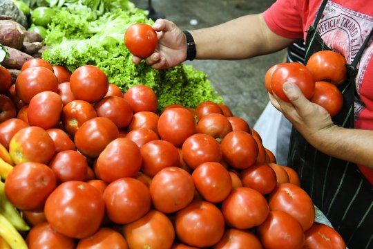 Este fin de semana se llevará a cabo la edición número 19  de la tradicional Fiesta del Tomate Platense en la Estación Experimental MDA Gorina (501 y 147)