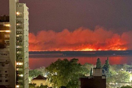 incendios del delta del parana: el congreso se encamina a debatir la ley de humedales