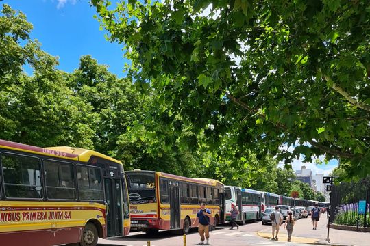 invasion de micros en el centro de la plata: ¿que paso?