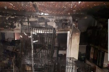El refugio de animales en Quilmes que sufrió un incendio en el cual murieron muchos gatos (foto diario Perspectiva Sur) 