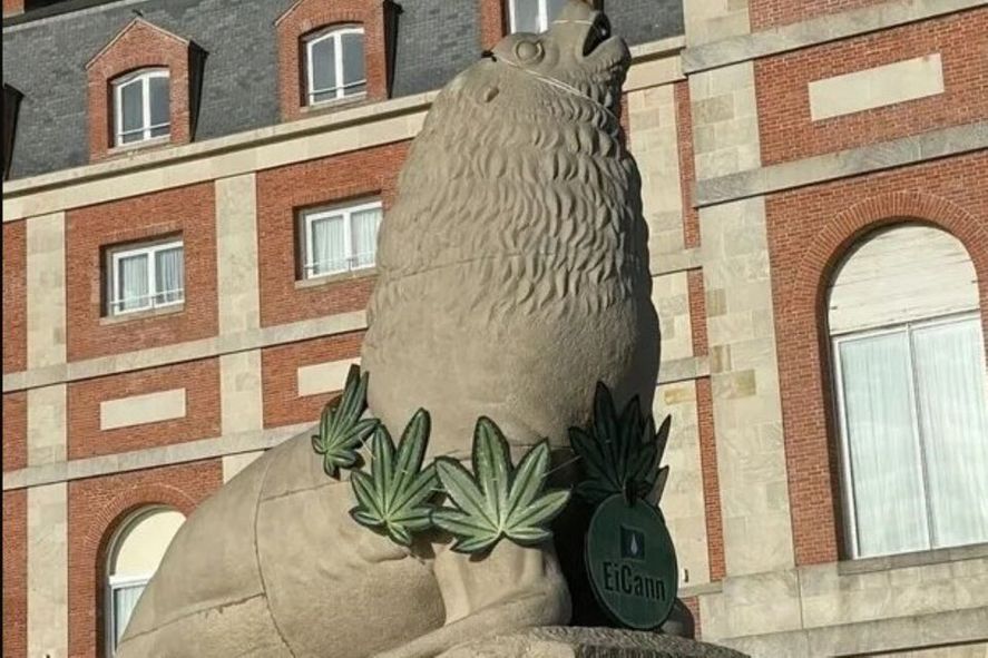 Los lobos marinos de la rambla de Mar del Plata fueron decorados con un  collar de hojas de marihuana | Infocielo