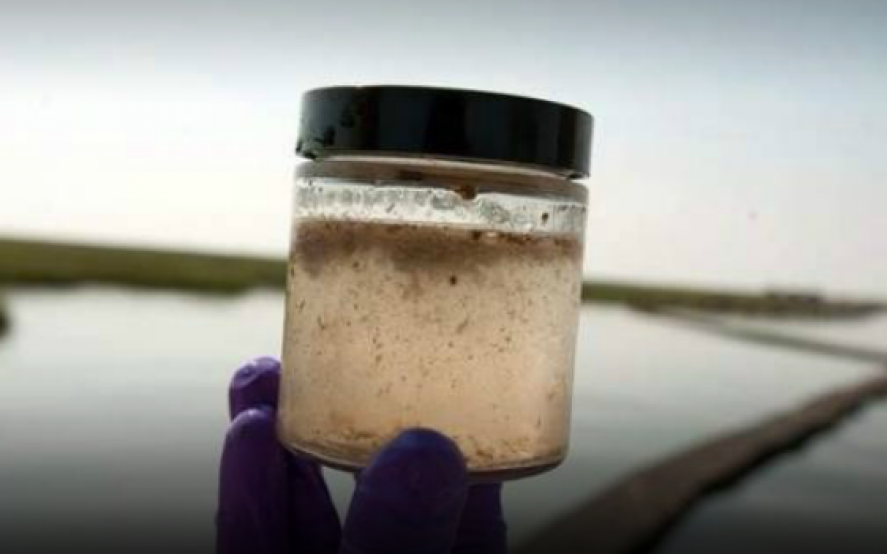 Ahora, con arsénico: el agua de Pergamino cada vez más contaminada