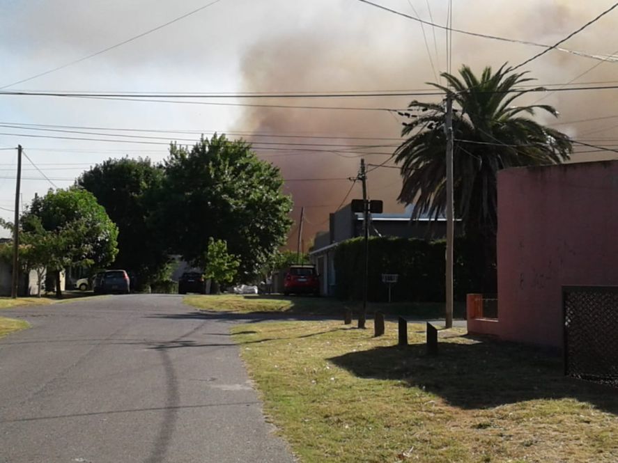 Incendios en los alrededores de La Plata