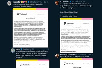 Los bots de milei publicando cosas similares al mismo momento.