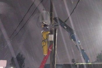 Continúa el operativo de EDELAP por las lluvias y tormentas extremas. Esta mañana los trabajos se concentraron en normalizar el servicio en barrios de La Plata.