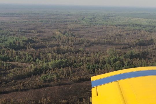 controlan incendios en el delta de san fernando: mira las fotos