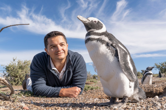 Juan Pablo García Borboroglu es biólogo, investigador de CONICET y preside una organización, que promueve la conservación de los pingüinos.
