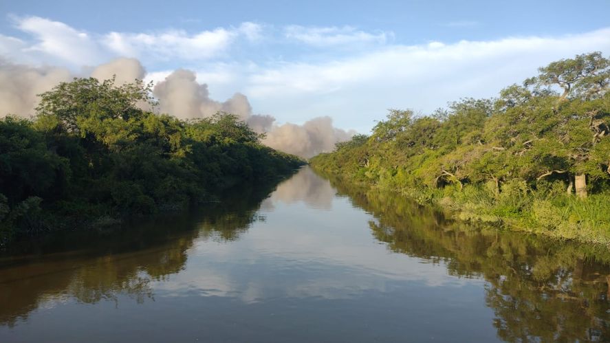 Mirá las fotos del voraz incendio que afecta a Punta Lara