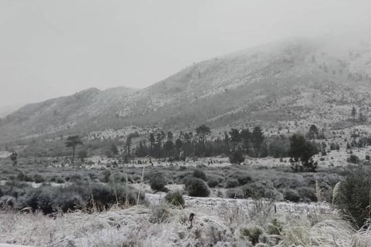 Suele nevar en Sierra de la Ventana en la previa de las vacaciones de invierno