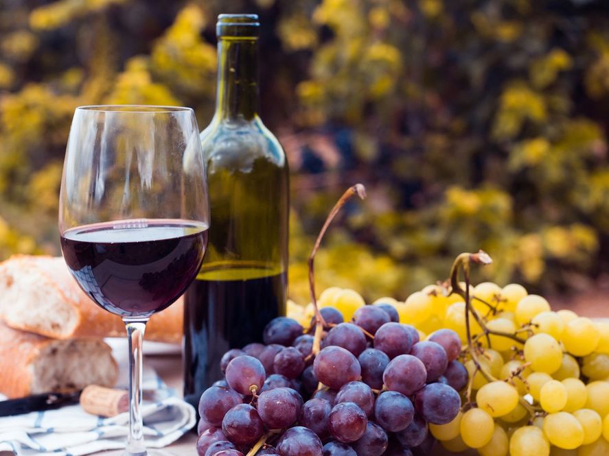 La Provincia se posiciona como productora vitivinícola.