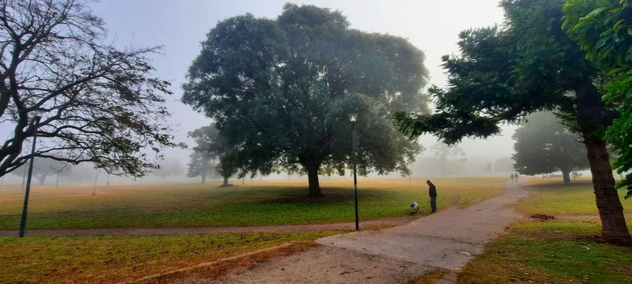 En toda la provincia de Buenos Aires continúa el alerta violeta por niebla, y para saber hasta cuándo durará, Infocielo dialogó con un meteorólogo.