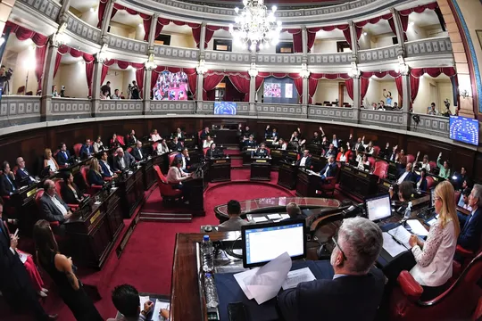 mayorias discutidas y piedras sin manos: perlitas de la ultima sesion del senado