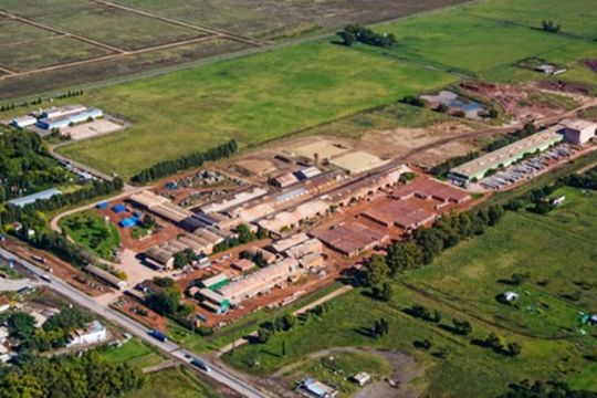 El efecto Milei golpea a Olavarría: Fábrica de cerámicos frenó su producción y despide a 45 contratados
