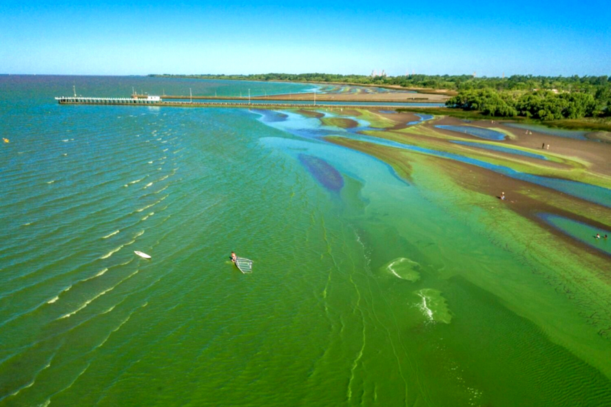 La presencia de cianobacterias es uno de los factores que más preocupan a los bañistas del Río de La Plata. 