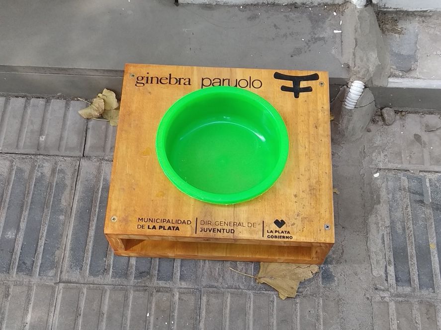 Llaman la atención bebederos de perros con auspicios en La Plata