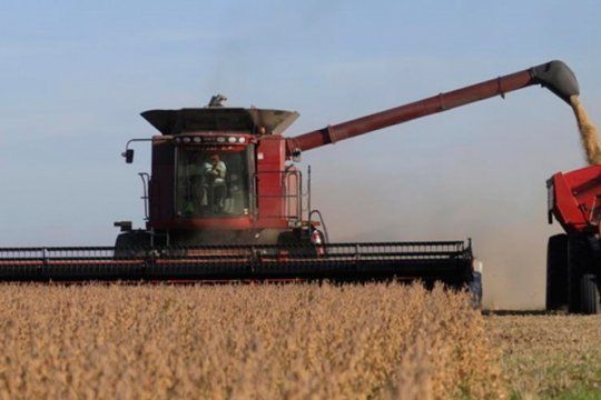 la produccion de granos creceria un 22% y generaria ingresos por 23.200 millones de dolares
