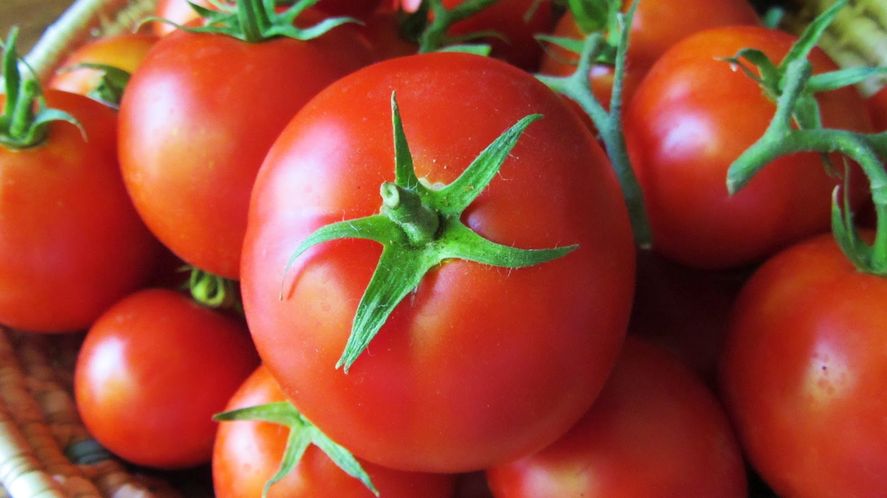 El biotecn&oacute;logo Agust&iacute;n Colombier denunci&oacute; que Greenpeace realiz&oacute; una publicaci&oacute;n sin fundamento cient&iacute;fico acerca del sabor del tomate.&nbsp;