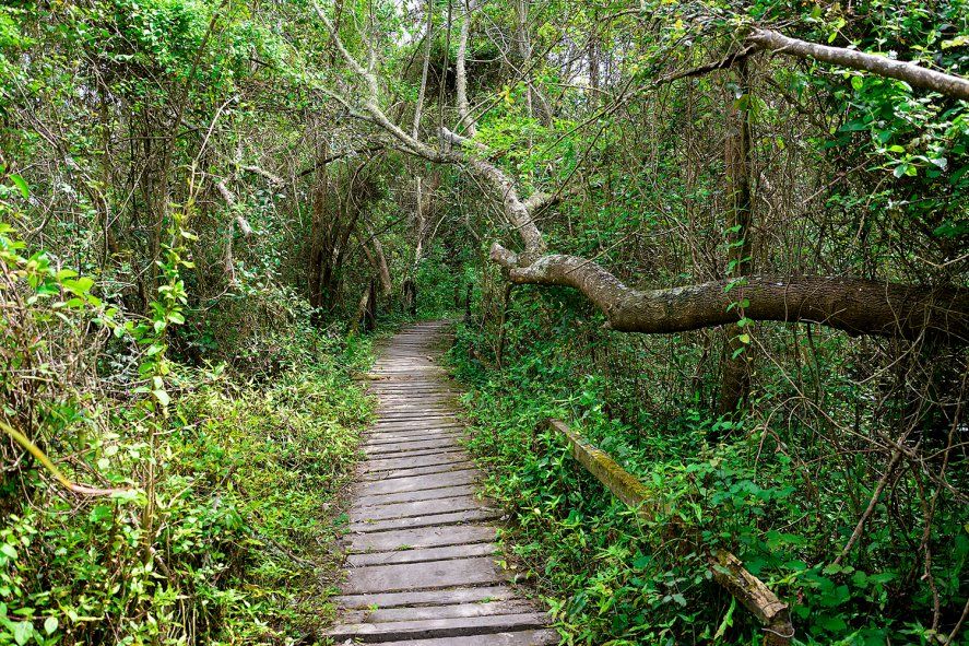 Día Mundial del Medio Ambiente: 5 parques y reservas naturales bonaerenses que tenés que conocer