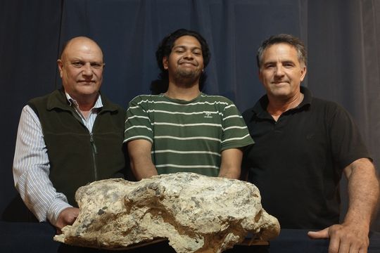 Encontraron fósiles de un perezoso gigante que existió hace más de 200 mil años en San Pedro.