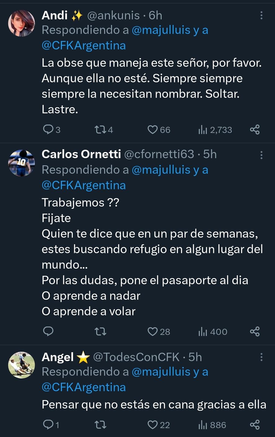 Algunos de los comentarios al posteo de Luis Majul acerca de su llamado a trabajar para que la Justicia encarcele a Cristina Fernández de Kirchner. Lo hizo a segundos de la investidura de Javier Milei como presidente. 