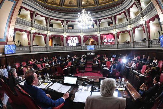 El Senado bonaerense dio media sanción a la Ley de Adopción