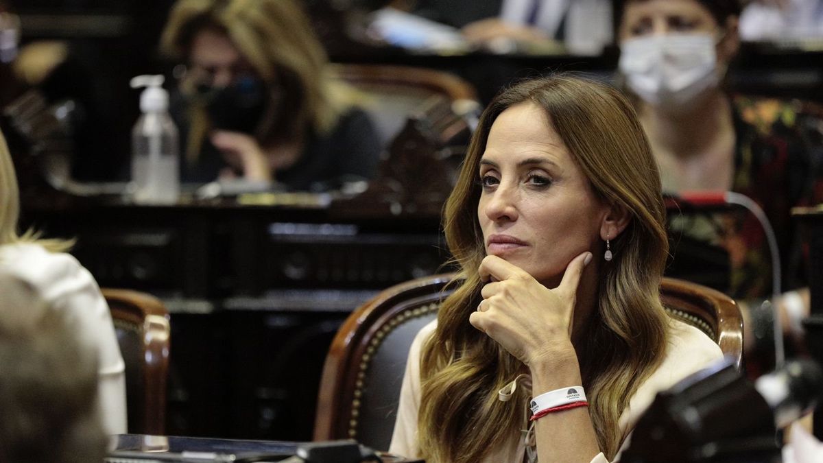 Victoria Tolosa Paz dijo que el FDT votará a favor del acuerdo | Infocielo
