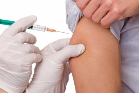 fiebre amarilla: aconsejan vacunarse al menos quince dias antes de viajar a las zonas en riesgo