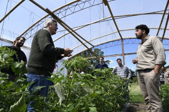 ¿china trae una comitiva a gorina para aprender a cultivar tomate?