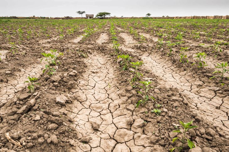 El sur bonaerense sigue sufriendo la sequía y la Provincia avanza con la emergencia
