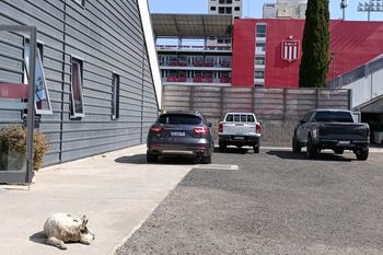 La intimidad de Foster Gillett en Estudiantes: picada, asado y ¡una Maserati!