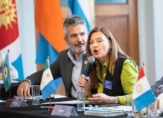 La ministra de las Mujeres y Diversidad bonaerense, Estela D&iacute;az, en el consejo federal de las mujeres.