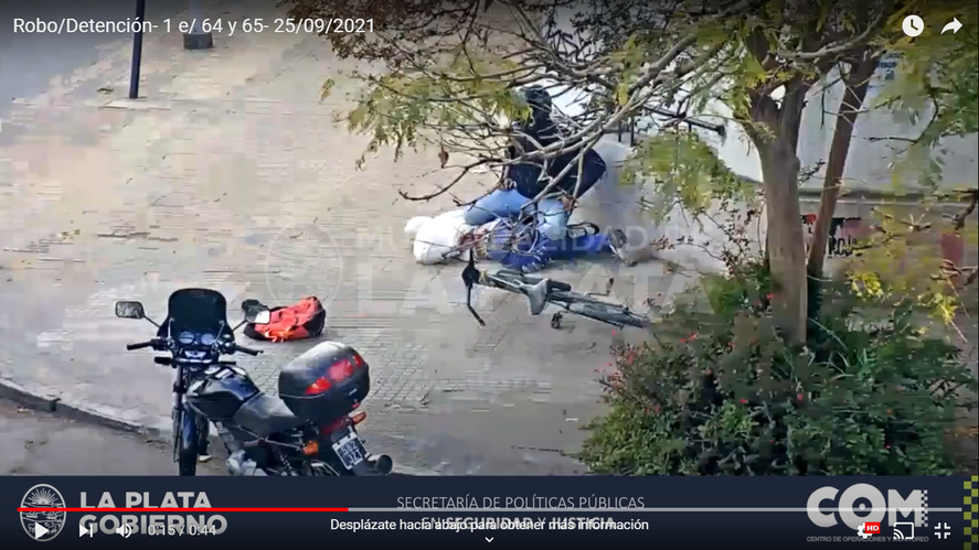 La Plata: robó una mochila, quedó filmado y lo atraparon