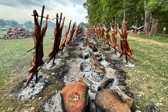 carne asada, lluvia y caos: la fiesta del cordero en daireaux termino en escandalo