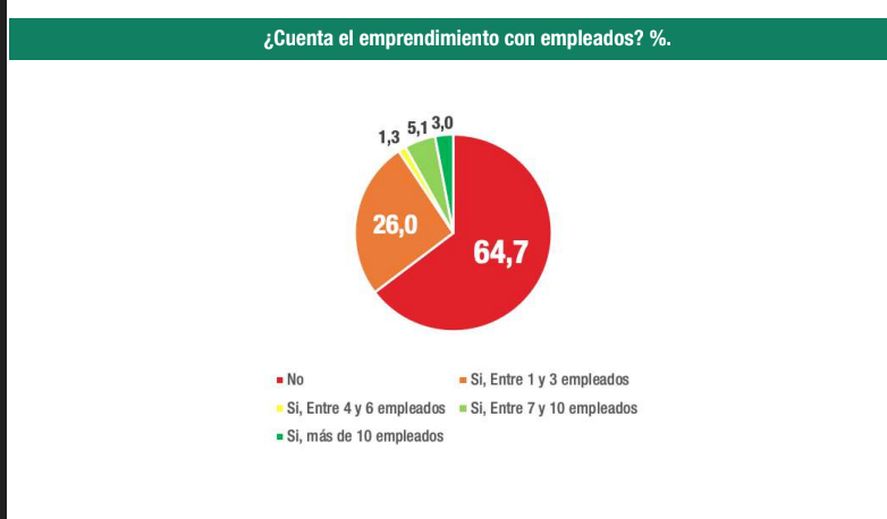Emprendedores en la Argentina: el 65% no cuenta con empleados
