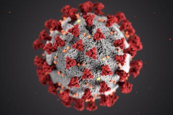 una nueva cepa de coronavirus fue detectada en nigeria