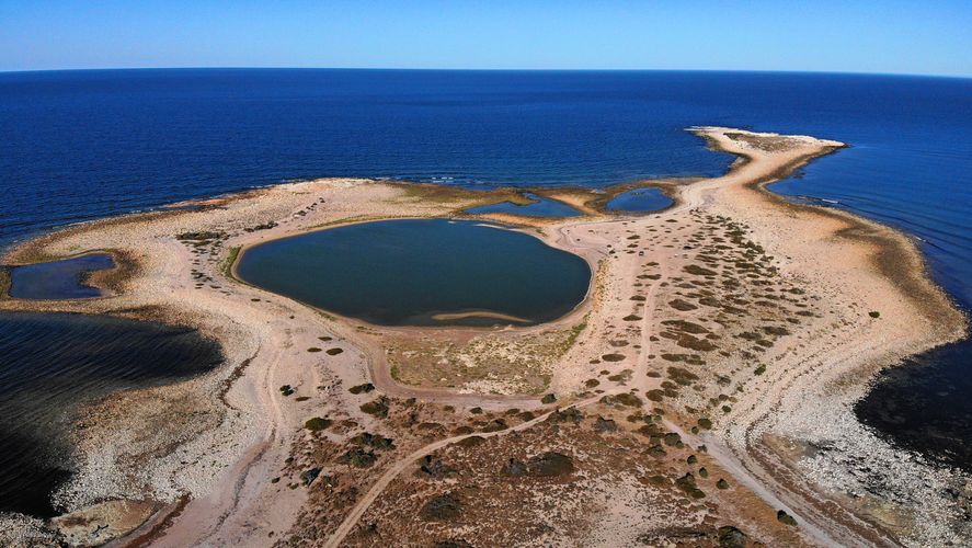 Islote Lobos: cómo es y dónde queda el nuevo parque nacional argentino