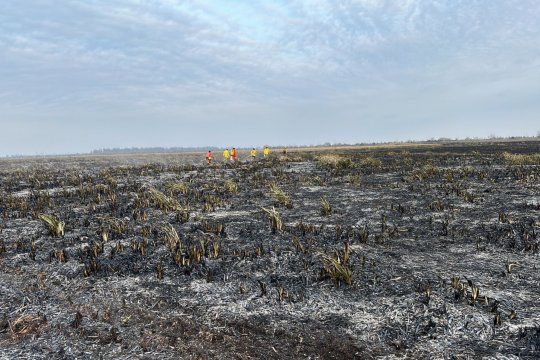 continua el control del incendio en la reserva de punta lara: el fuego esta casi extinguido