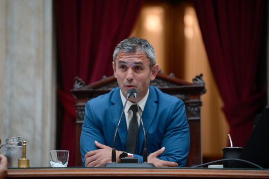 martin menem seguira al frente de diputados: el pro y la ucr lo respaldaron por la institucionalidad