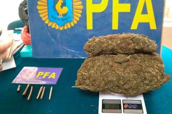 hallan un kilo de marihuana en una escuela rural de la unlp