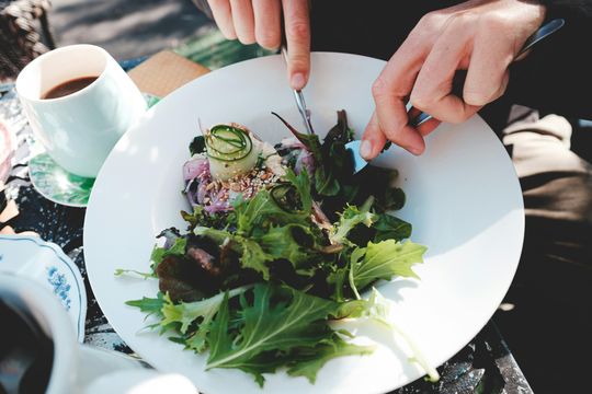 un municipio bonaerense celebrara el dia del veganismo con promociones y descuentos en comercios