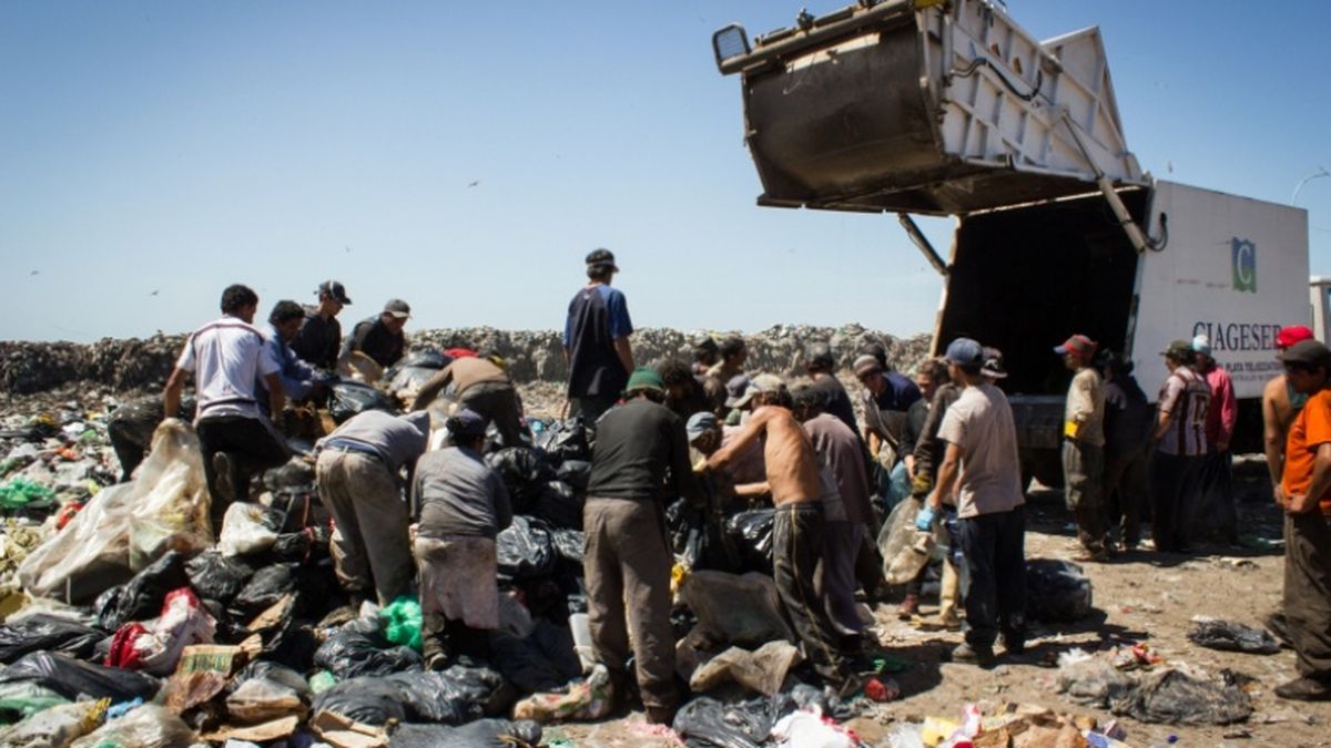 Un Video Desnud La Crisis Social En Mar Del Plata Buscan Comida Y Cart N Entre La Basura