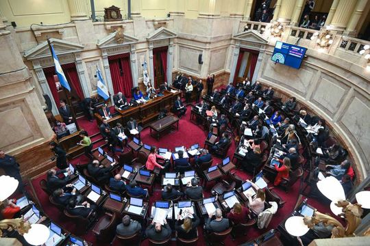 LEGISLATURA -CÁMARA DE SENADORES SESIONANDO.OPOSITORES PIDEN QUE LA LEY BAPRO VUELVA A SER TRATADA.