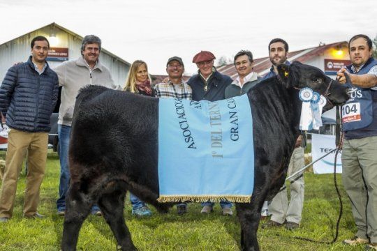en bolivar, angus extendio su buen momento y se consolida como la raza lider de la ganaderia argentina