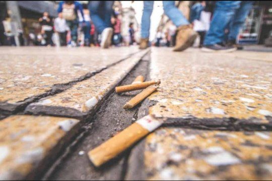 Una nueva ordenanza sanciona con multas de hasta 351 mil pesos arrojar colillas de cigarrillos en la vía pública del Partido de La Plata 