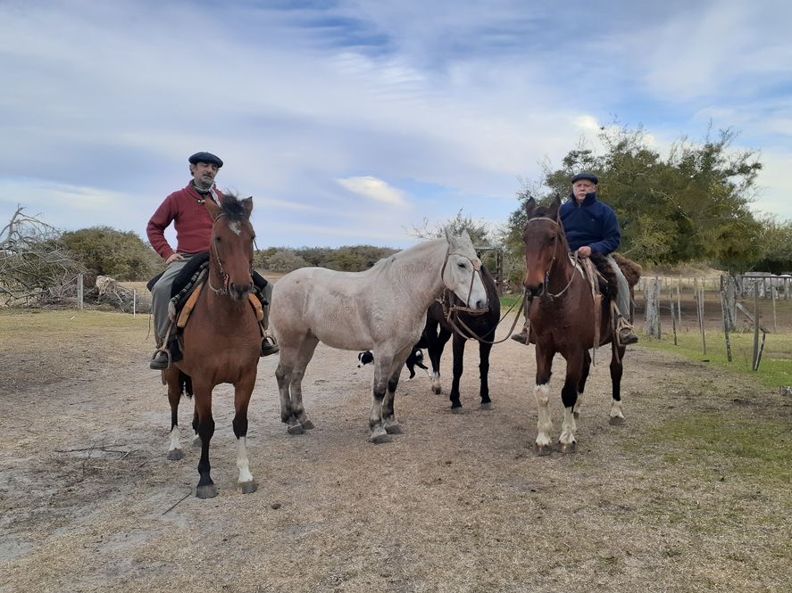 Dos veterinarios bonaerenses harán un viaje de más de 2.000 kilómetros a caballo 