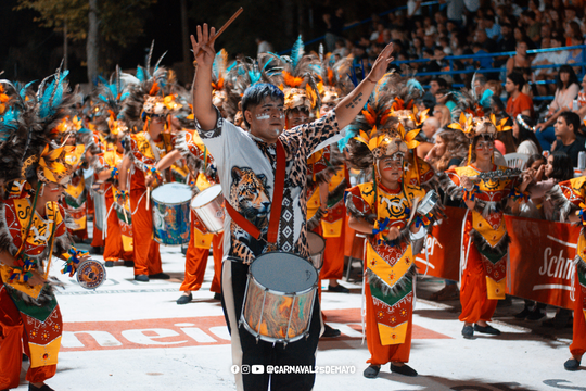 Este mes de enero, la Provincia de Buenos Aires presenta una variedad de festivales y eventos culturales que prometen entretenimiento para todos los gustos. Desde celebraciones tradicionales hasta festivales musicales.