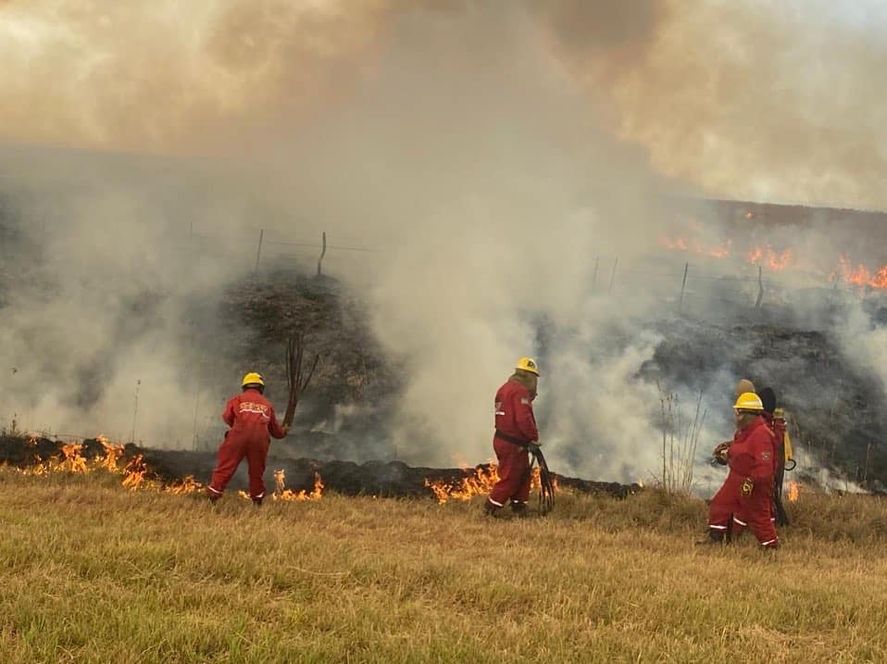 Los integrantes de la denominada “Brigada Puma” se encuentran abocados a las tareas en las localidades de  Santo Tomé y Alvear  en Corrientes