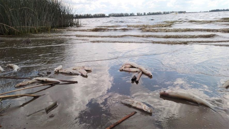 El fenómeno que puede hacer desaparecer a las lagunas en el sudoeste bonaerense