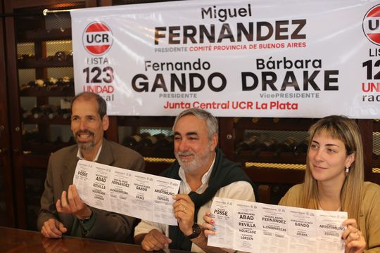 internas de la ucr bonaerense: la junta electoral partidaria dio ganador a miguel fernandez