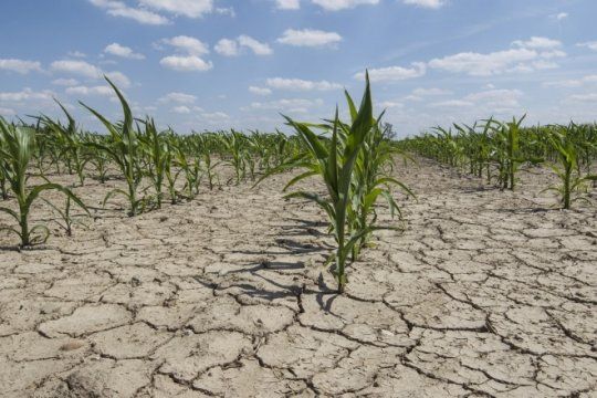 provincia formalizo la emergencia agropecuaria para trece distritos afectados por el ?fenomeno climatico?